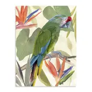 Artey | Tropical Parrot Composition I - Stretched Canvas - Stretched Canvas - 112 x 150cm