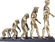 Deco Figurine Evoliution Home Decor Interior Luxury Accent Modern Style Golden