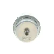 Bosch Fuel Pressure Accumulator for Rolls-Royce Silver Spirit Spur 6.75L Sedan