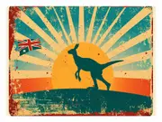 Kangaroo Canvas Print
