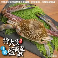 在飛比找momo購物網優惠-【三頓飯】活凍特大隻藍花蟹(2隻_400-450g/隻)
