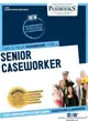 Senior Caseworker