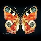 Butterfly Design Inlay Work Hallway Side Table Square Marble Coffee Table Top