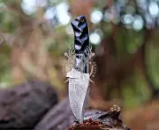 Skinner Hunting Knife with Sheath Outdoor Survival Bowie knive Sharp Fixed Blade
