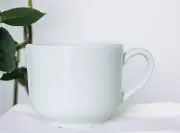 Pillivuyt France SANCERRE White Porcelain Flat Cup NEW