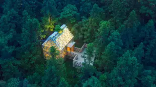 自由家樹屋世界ZYJ Treehouse Land