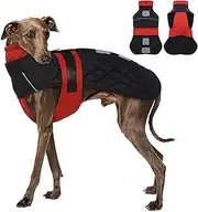 Whippet Dog Coat - Red, Small - Small Dog Winter Coat with Adjustable Bands, Dog Snow Coat for Greyhounds, Water Resistant Dog Jacket with Harness Hole