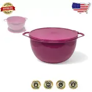 Thatsa Mega Mixing Bowl - 42 Cup Capacity in Vineyard with Airtight Lid