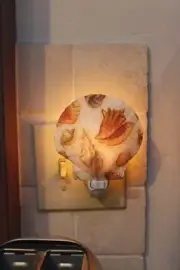 Real Sea Shell Night Light with Shell Design