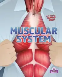 在飛比找博客來優惠-Muscular System