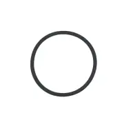 CS8111 Intex Krystal Clear Replacement O-Ring C Gasket Seal for Swimming Pool
