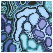 Reef From Above by Arkie The Label Blank Card