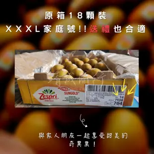 【靖成商行】紐西蘭黃金奇異果🥝#18顆 | 黑貓冷藏免運 | 下單送隨機蔬果❗