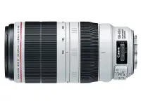 在飛比找Yahoo!奇摩拍賣優惠-佳能 EF 100-400mm f4.5-5.6 L IS 
