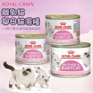 【皇家】法國皇家貓罐頭 皇家 BC34W 離乳貓 母貓 專用濕糧 貓罐頭 離乳貓罐 幼貓罐195g 貓主食罐