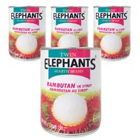 在飛比找Coupang 酷澎優惠-TWIN ELEPHANTS 紅毛丹罐頭