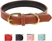 Ozpaw Padded Leather Dog Collar for Puppies Small Medium Dogs and Cats (Medium, Brown)