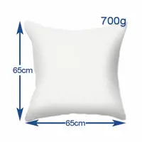 在飛比找PChome24h購物優惠-65x65cm抱枕棉心(700g)