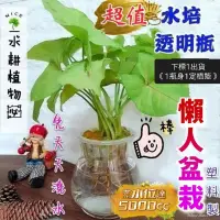 在飛比找蝦皮購物優惠-🔥 《大容量5公升魚菜共生》懶人盆栽高透亮水耕瓶 定植籃 塑