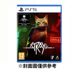 【PLAYSTATION】PS5 浪貓 中文版