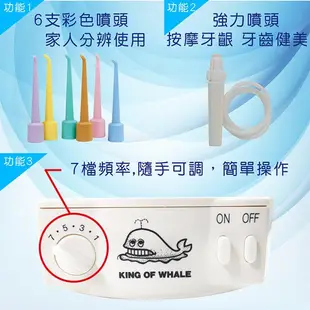 鯨王沖牙機 洗牙機【醫康生活家】