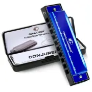 Blues Harmonica for Kids Adult Beginners 10 Hole Diatonic Harmonica Key of C ...