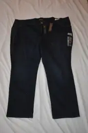 Lee Women's Instantly Slims Relaxed Fit High Rise Ellis Jeans Plus Size 30W