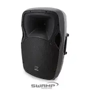 SWAMP 12" 2-way Passive PA Speaker - 180W RMS