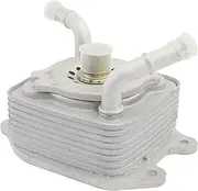 Engine Oil Cooler Assembly Compatible with Nissan Armada 2017-2022 Titan 2016-2021 NV 2017-2021 / Infiniti QX56 2011-2013 QX80 2014-2019 5.6L Replace # 21305-EZ30A 21305-1LA0C 21305-1LA0D