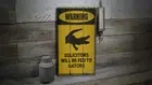 Solicitors Will Be Fed to Gators Vintage Distressed Sign, Personalized Wood Sign