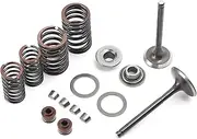 Minho GY6 Intake Valve and Exhaust Valve Assembly Kit in Alloy Steel Material,Compatible with Chinese GY6 4-Stroke 150cc 152QMI 157QMJ Engine Scooter Mopeds ATV Go Kart,66 Length
