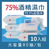 在飛比找PChome24h購物優惠-【CS22】DISINFECTION75%酒精高效消毒滅菌濕