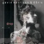 【破格音樂】 GAVIN HARRISON & 05RIC - DROP