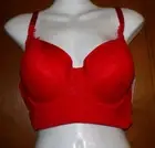 Women's Lace Plunge Demi Coverage Long Line Push-Up Bra Auden™ Red Size 38D NWT