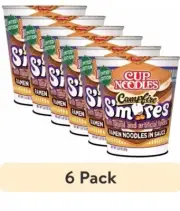 CAMPFIRE S'MORES Nissin Ramen Cup Noodles Limited Edition! 6 PACK Ships FREE