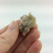 Small Canadian Vesuvianite Idocrase Specimen 170435 Manifest Your Heart’s Desire
