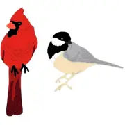 Birds Cardinal Bird Watching Christmas Bird Aviary Metal Dies Standard Thin