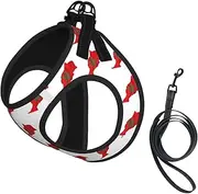 Morocco Flag Map print Dog Harness and Leash Set, Reflective Adjustable Puppy Vest for Small Medium Large Dogs, Cats