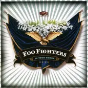Foo Fighters In Your Honour CD