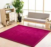 Coral Velvet Rug for Bedroom Dormitory Yoga,Home Decor for Living Room,Educational Classroom Nursery Bedroom Crawling Mat Non-Slip Rug 2cm-F- 100 * 300cm