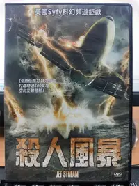 在飛比找Yahoo!奇摩拍賣優惠-挖寶二手片-E04-160-正版DVD-電影【殺人風暴 便利