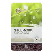 SCINIC - Snail Matrix Essence Mask - 1pc