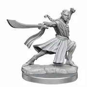 Dungeons & Dragons Frameworks Elf Monk Male