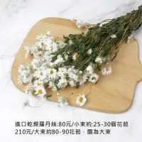 在飛比找松果購物優惠-進口乾燥天然羅丹絲-乾燥花圈 乾燥花束 不凋花 拍照道具 手