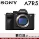 4/2-6/2特價加碼註冊送FZ100+金屬熱靴蓋 公司貨 SONY A7R5 單機身 / A7RV