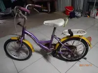 在飛比找露天拍賣優惠-兒童16吋 捷安特 自行車,附輔助輪