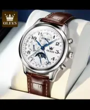 Olevs Automatic Self Winding Luminous Men's Business Watch Silver Brown Leather