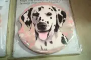 DALMATION Set Of 2 Absorbent Stoneware Car Cup Holder Coaster Dog #2
