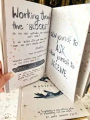 Dreamy Moons Manifest Book