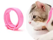 Small Size Flea Collar for Kittens, Cats & Small Dogs- Prevents Ticks & Lice
